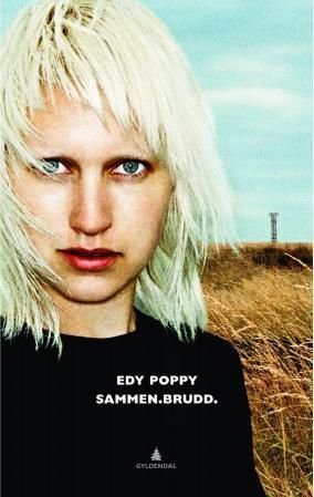 Sammen.Brudd. : noveller