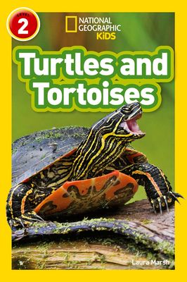Turtles and Tortoises : Level 2