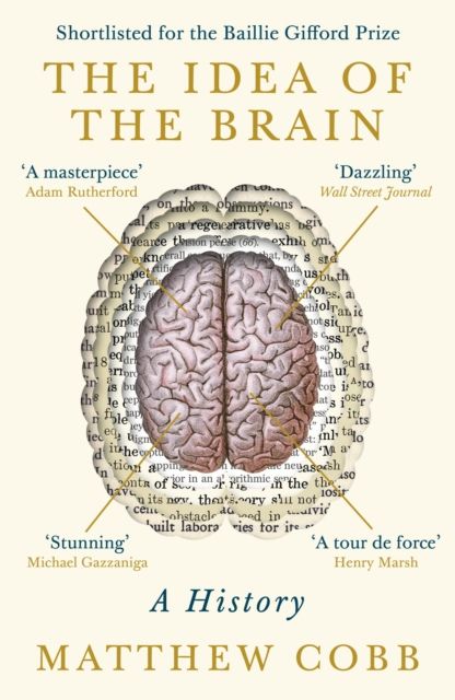The idea of the brain : a history