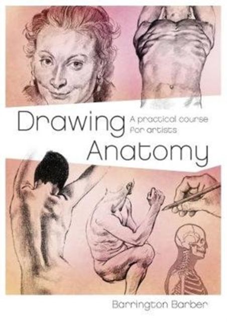 Forsidebilde av Drawing Anatomy