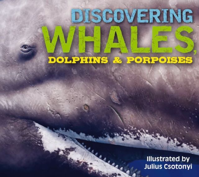 Discovering Whales, Dolphins and   Porpoises : The Ultimate Guide to the Ocean's Largest Mammals