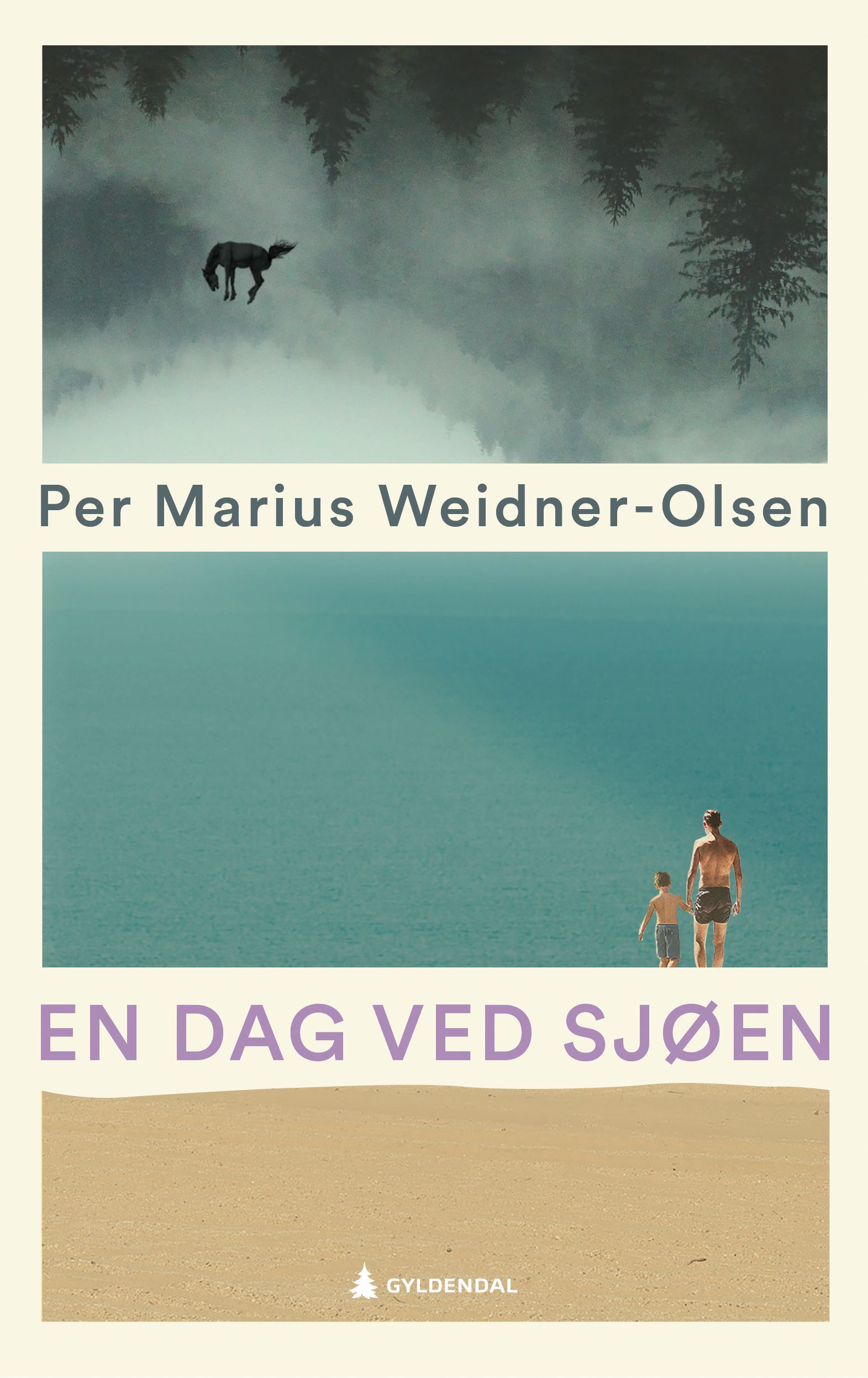 En dag ved sjøen : roman