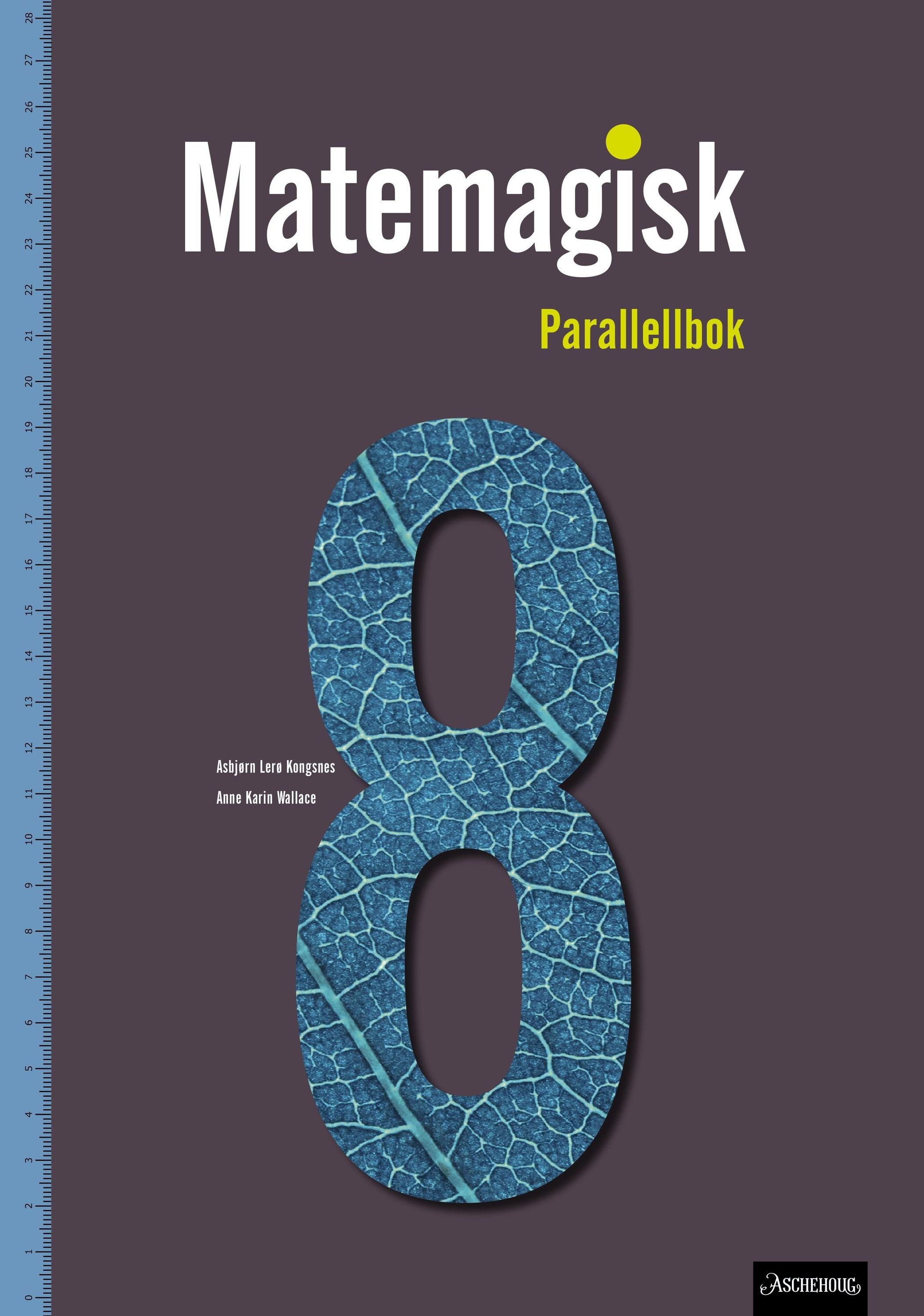 Matemagisk 8. Parallellbok
