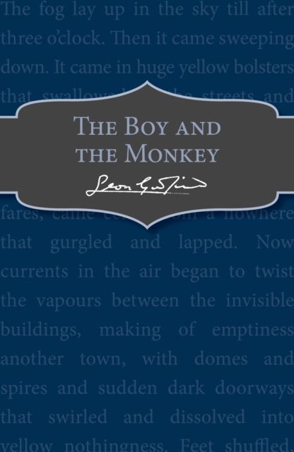 The Boy and the Monkey