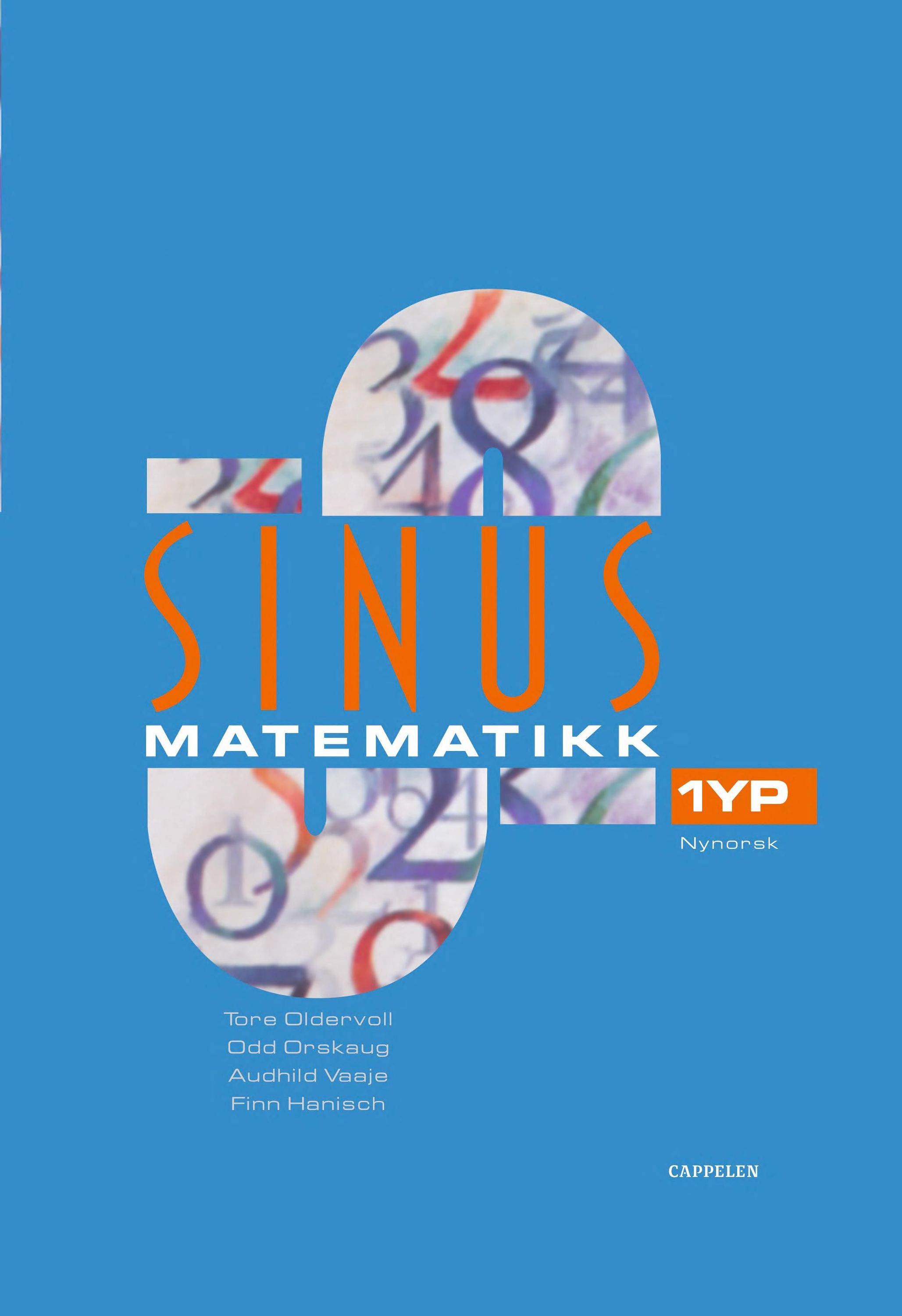 Sinus 1YP : matematikk for vg1 : yrkesfagleg utdanningsprogram