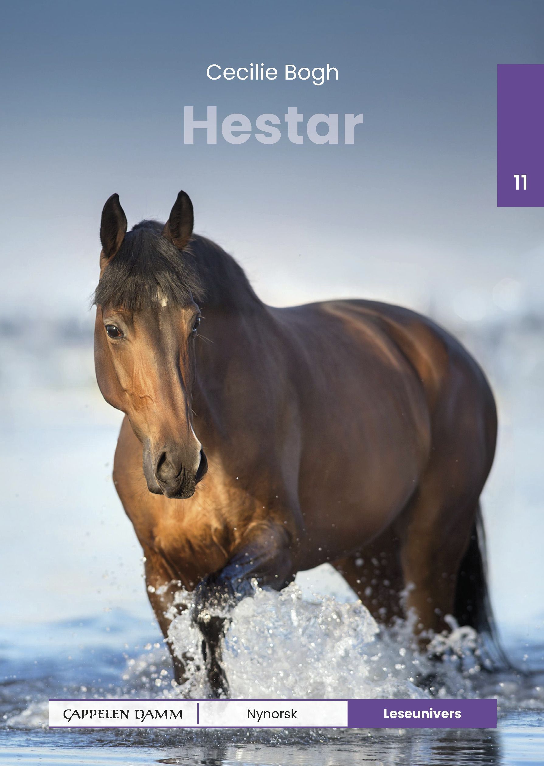 Forsidebilde av Hestar