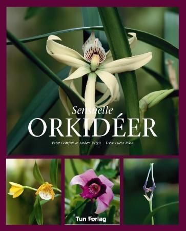 Sensuelle orkidéer