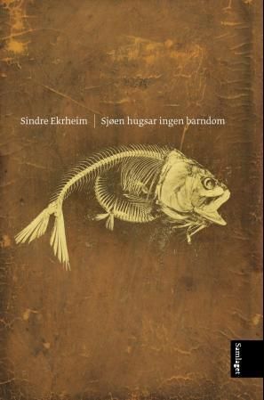 Sjøen hugsar ingen barndom : dikt