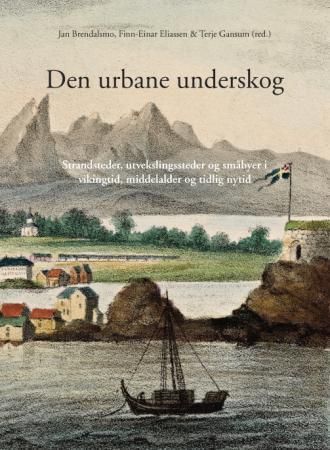Den urbane underskog : strandsteder, utvekslingssteder og småbyer i vikingtid, middelalder og tidlig nytid