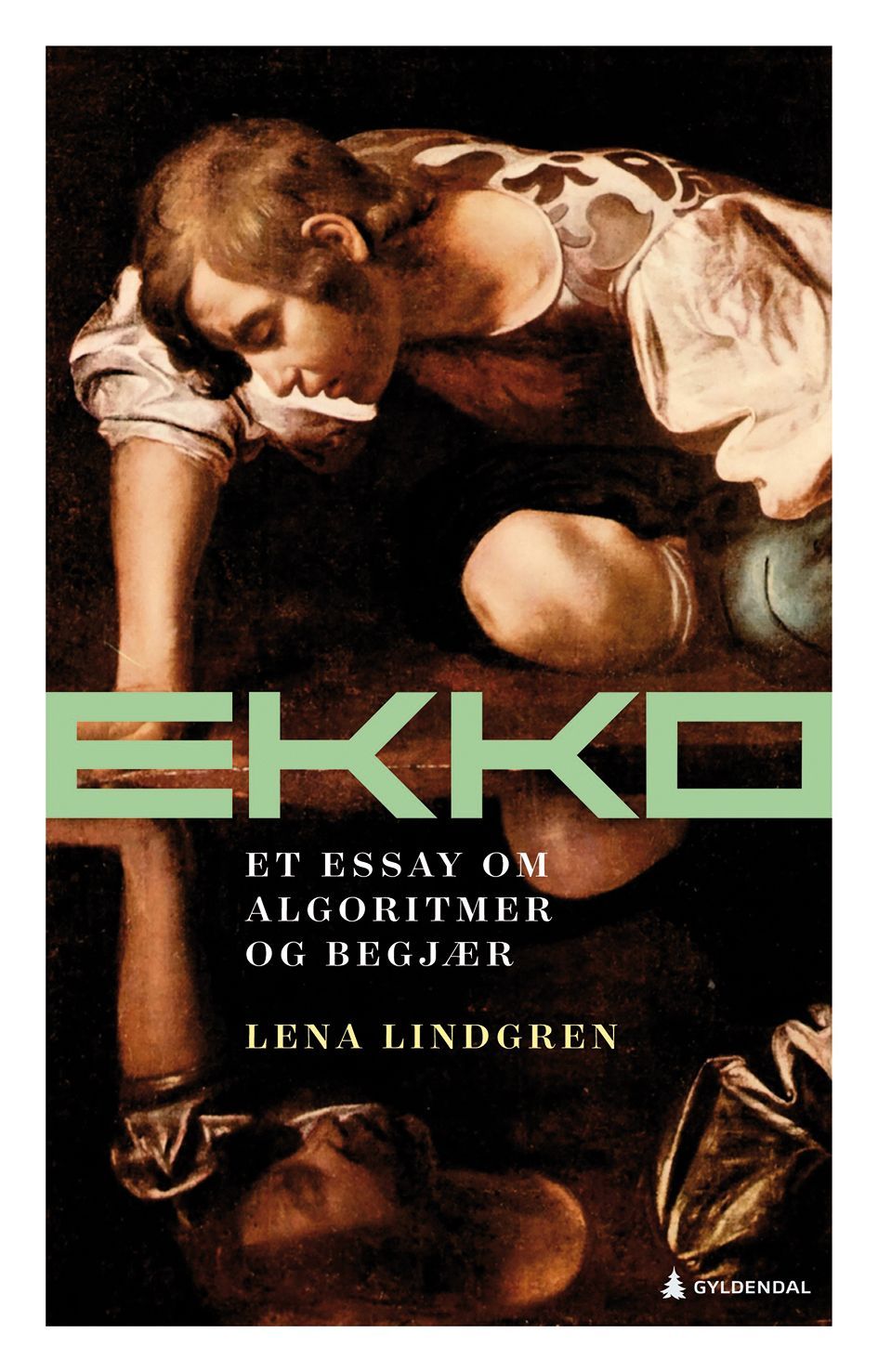 Forsidebilde av Ekko : et essay om algoritmer og begjær