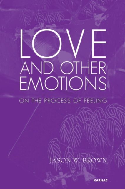 Love and Other Emotions : On the Process of Feeling