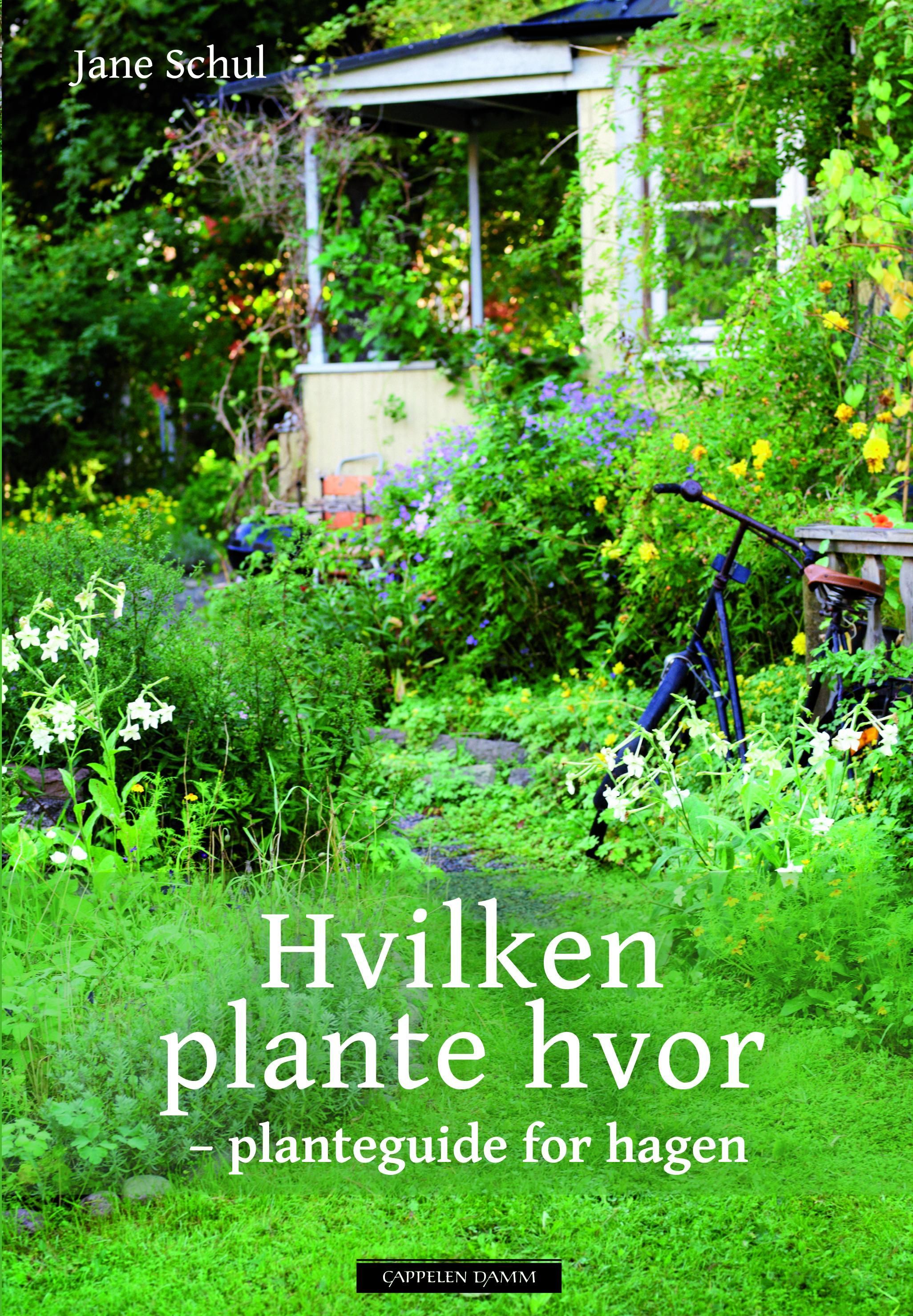 Hvilken plante hvor : planteguide for hagen