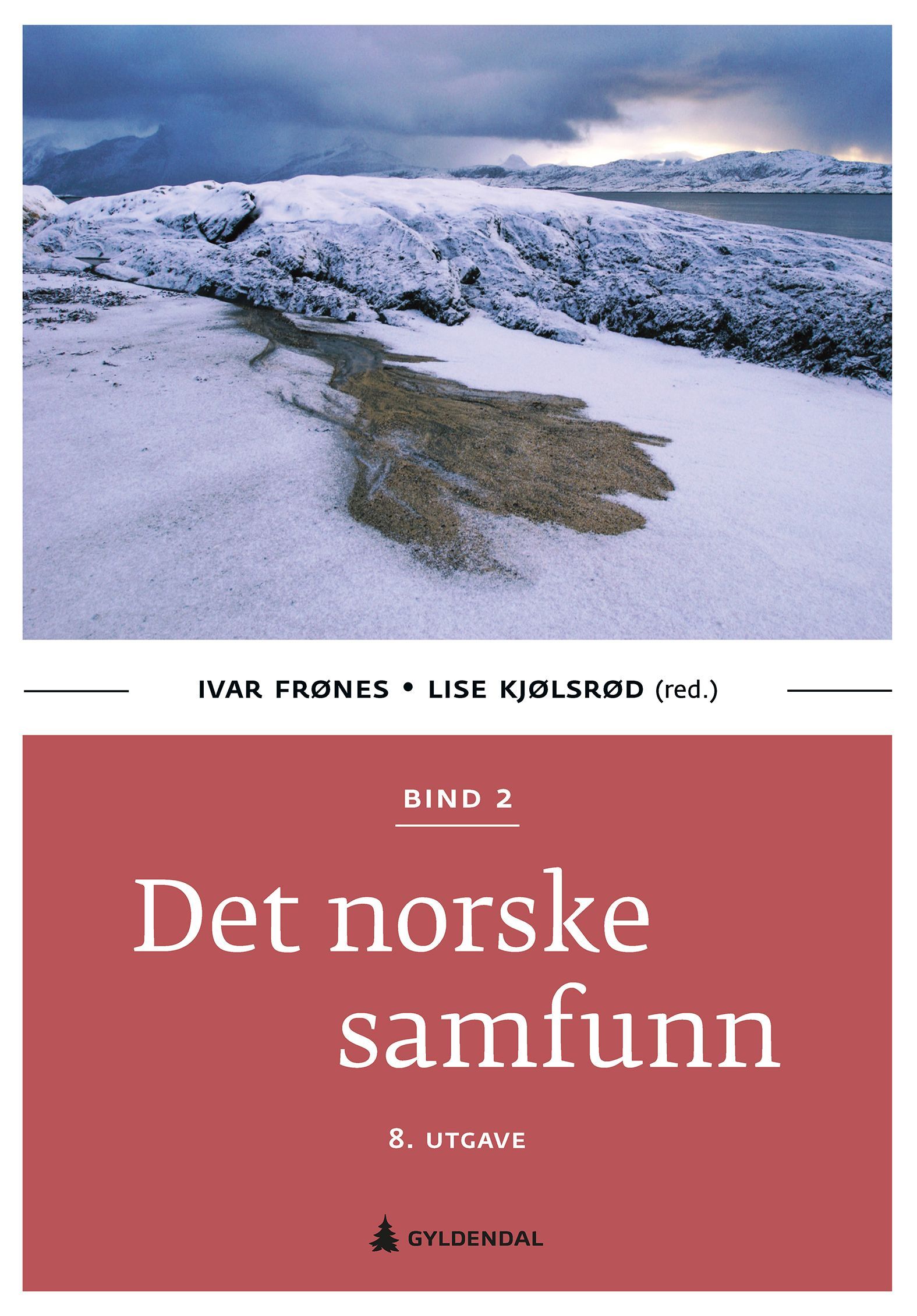 Det norske samfunn. Bind 2