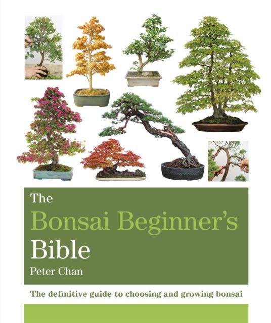 The bonsai beginner's bible : the definitive guide to choosing and growing bonsai