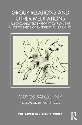 Group Relations and Other Meditations : Psychoanalytic Explorations on the Uncertainties of Experiential Learning