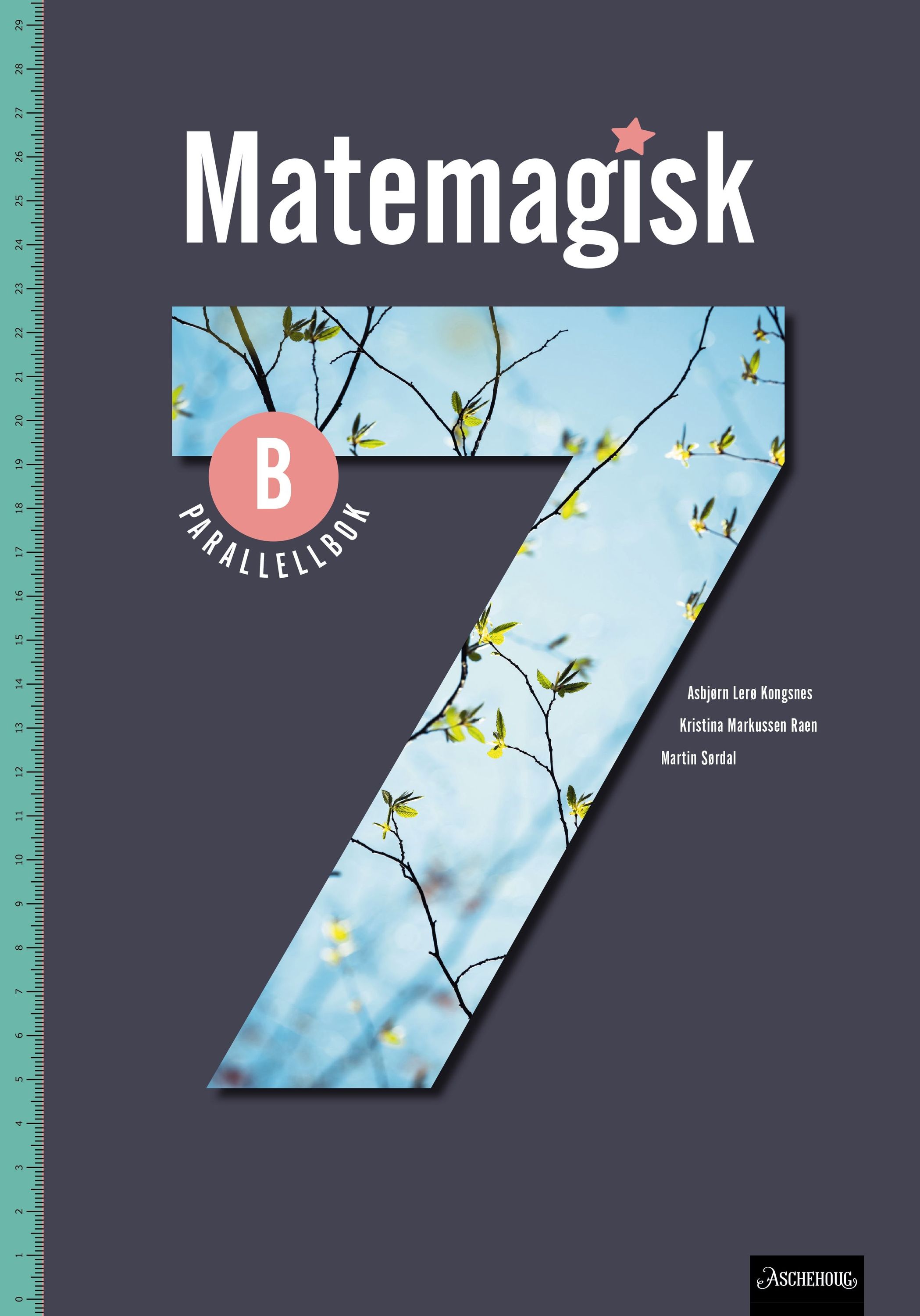 Matemagisk 7B. Parallellbok