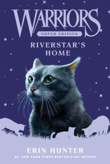 Riverstar's home