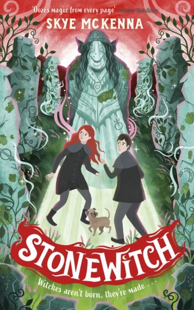 Hedgewitch: Stonewitch : Book 4: The enchanting series brimming with mystery and magic