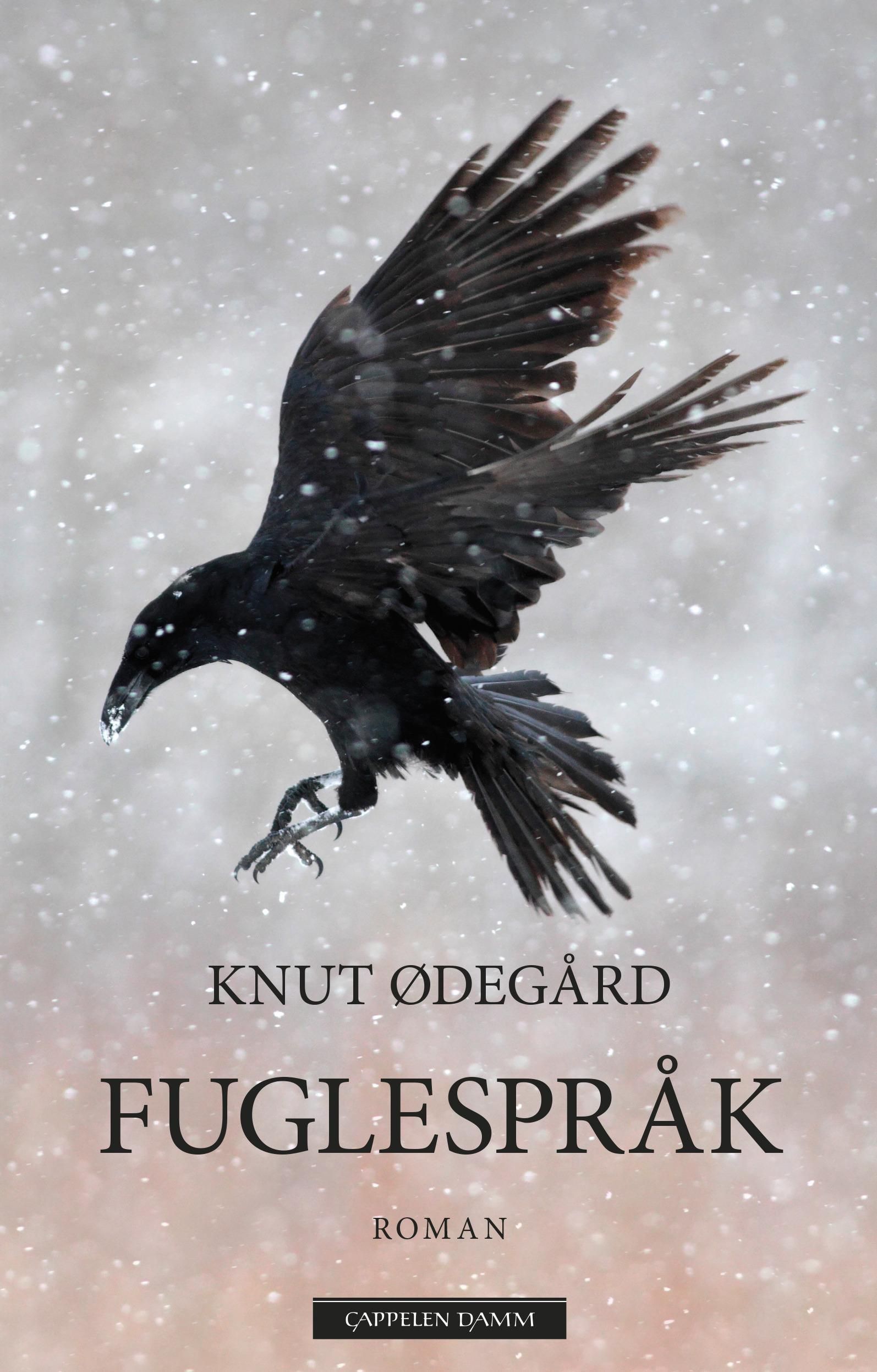 Fuglespråk : Claus Hoel Kringsjås historie