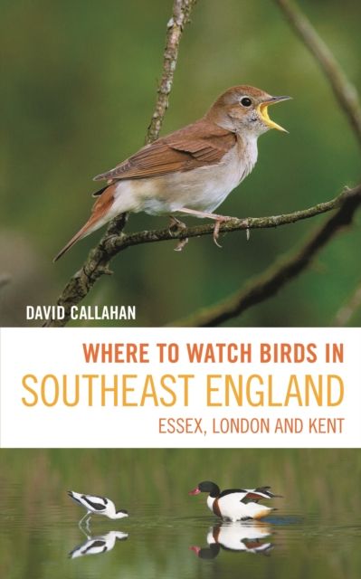 Where to Watch Birds in Southeast England : Essex, London and Kent