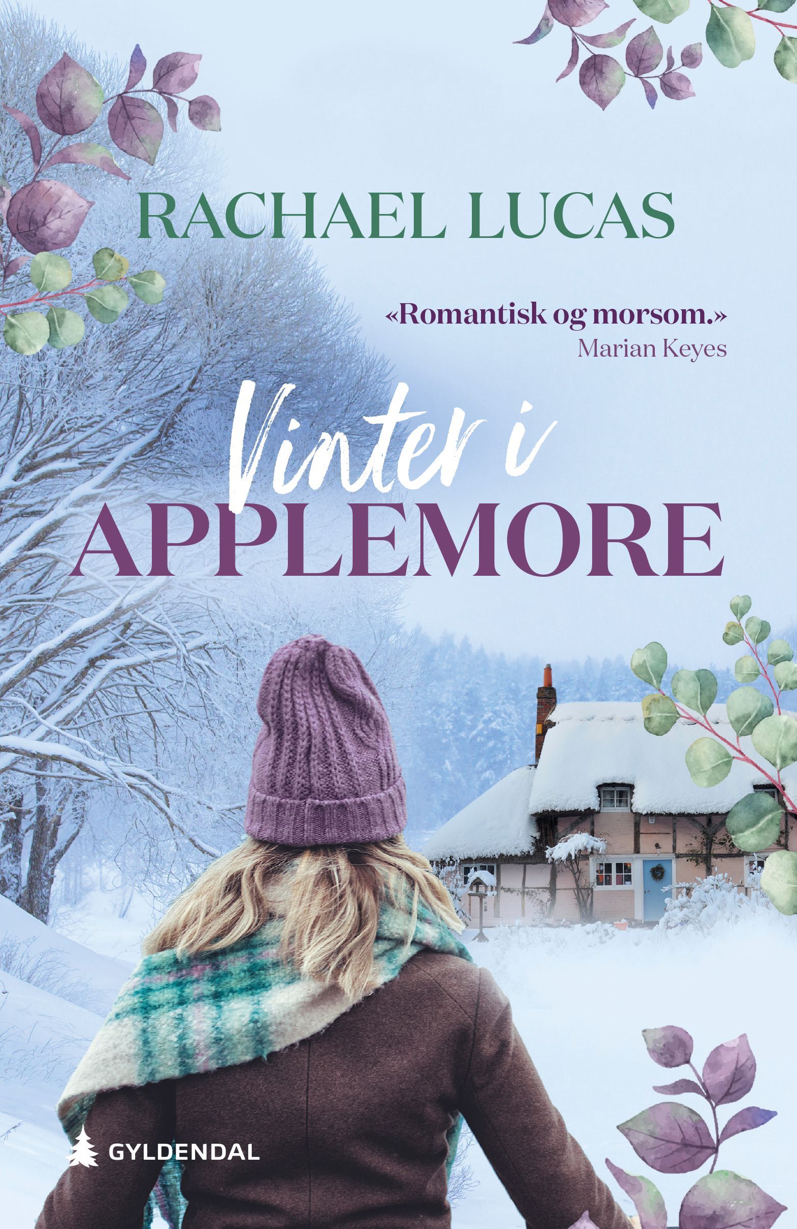 Vinter i Applemore