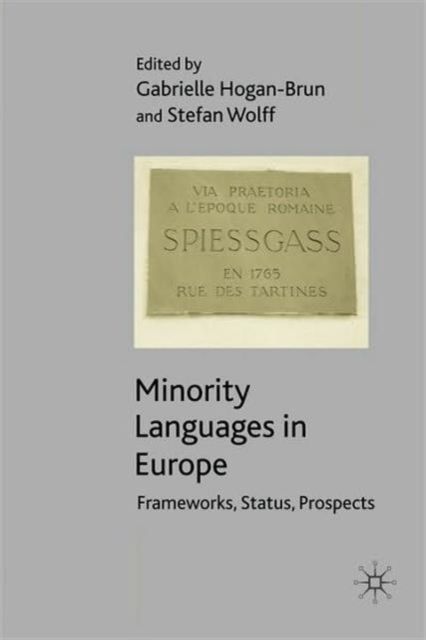 Minority Languages in Europe : Frameworks, Status, Prospects