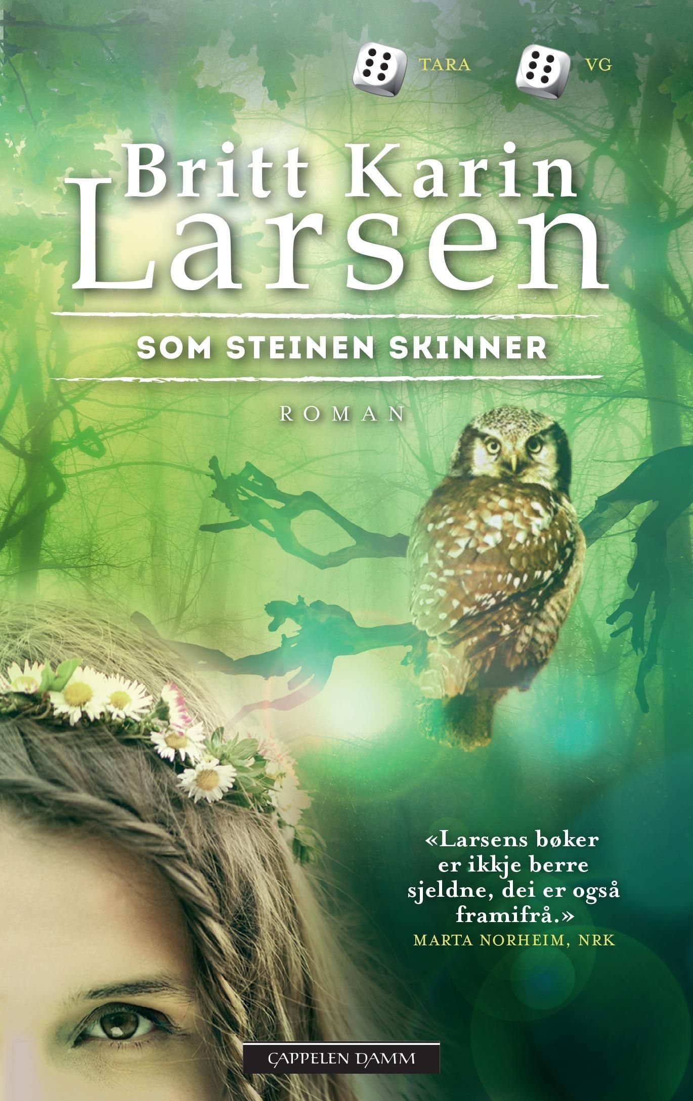 Som steinen skinner : roman