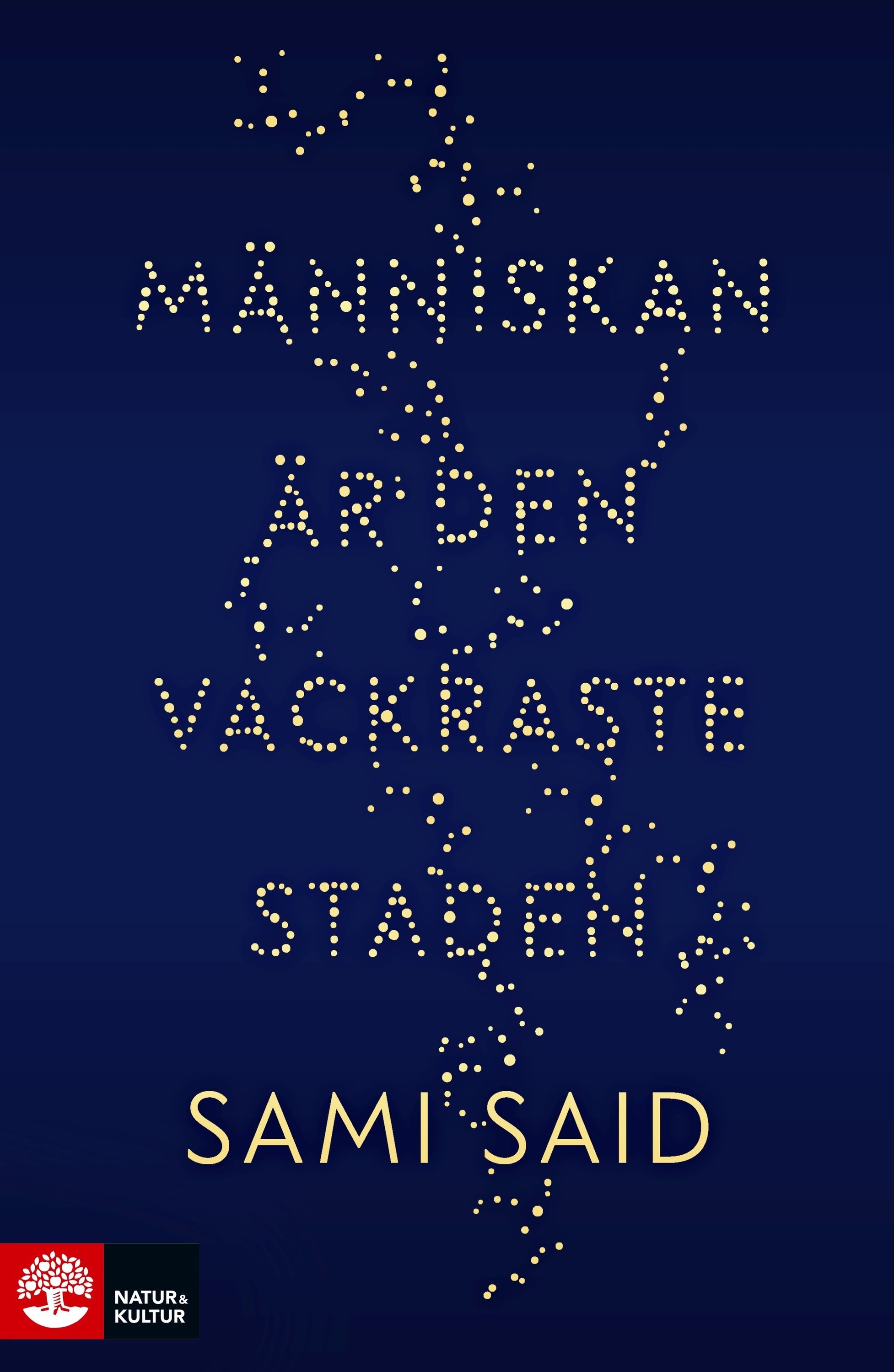 Människan är den vackraste staden : roman