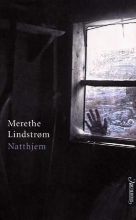 Natthjem : roman