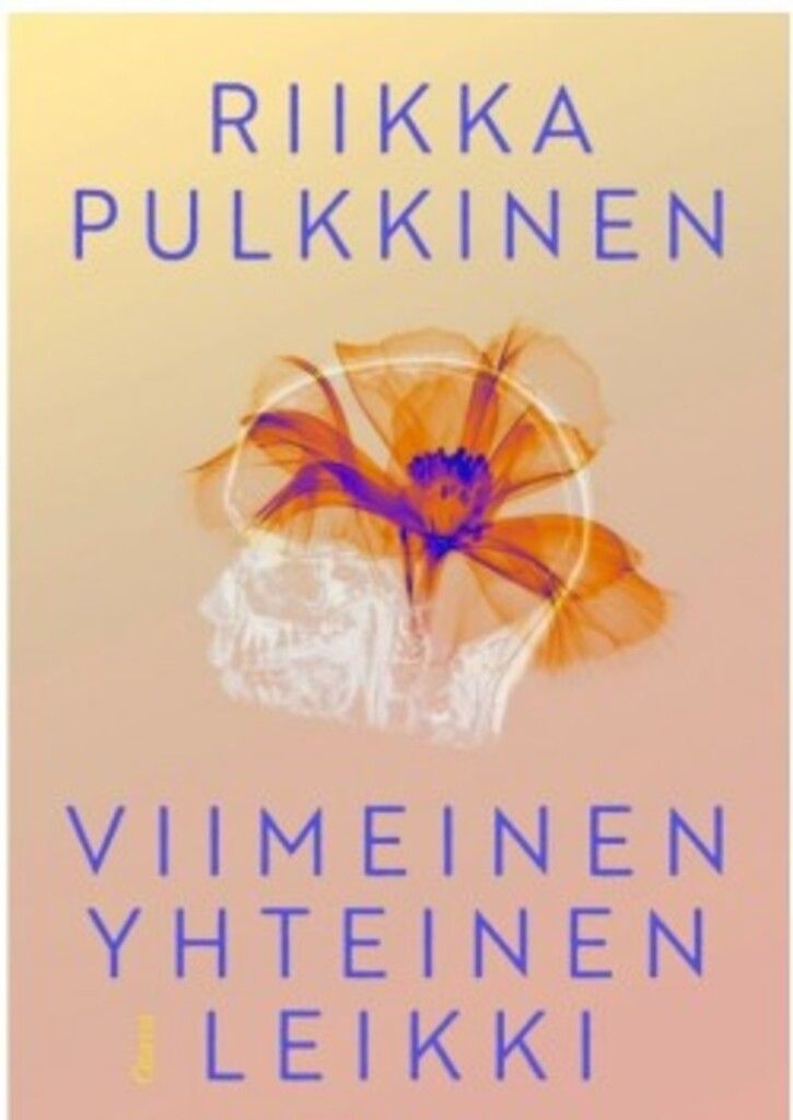 Viiheimen yhteinen leikki