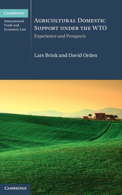 Agricultural Domestic Support Under the WTO : Experience and Prospects