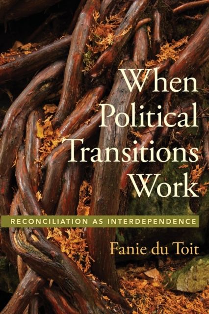 When Political Transitions Work : Reconciliation as Interdependence
