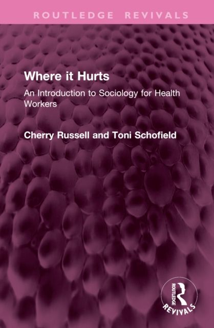 Where it Hurts : An Introduction to Sociology for Health Workers
