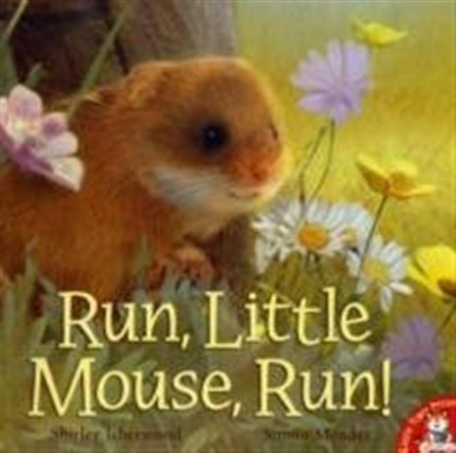 Run, Little Mouse, Run!