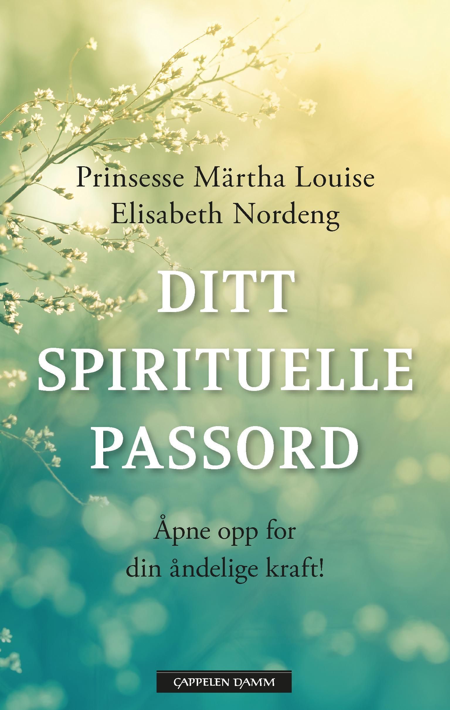 Ditt spirituelle passord : åpne opp for din åndelige kraft!