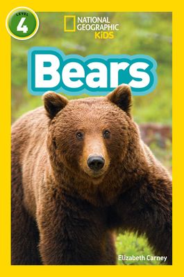 Bears : Level 4