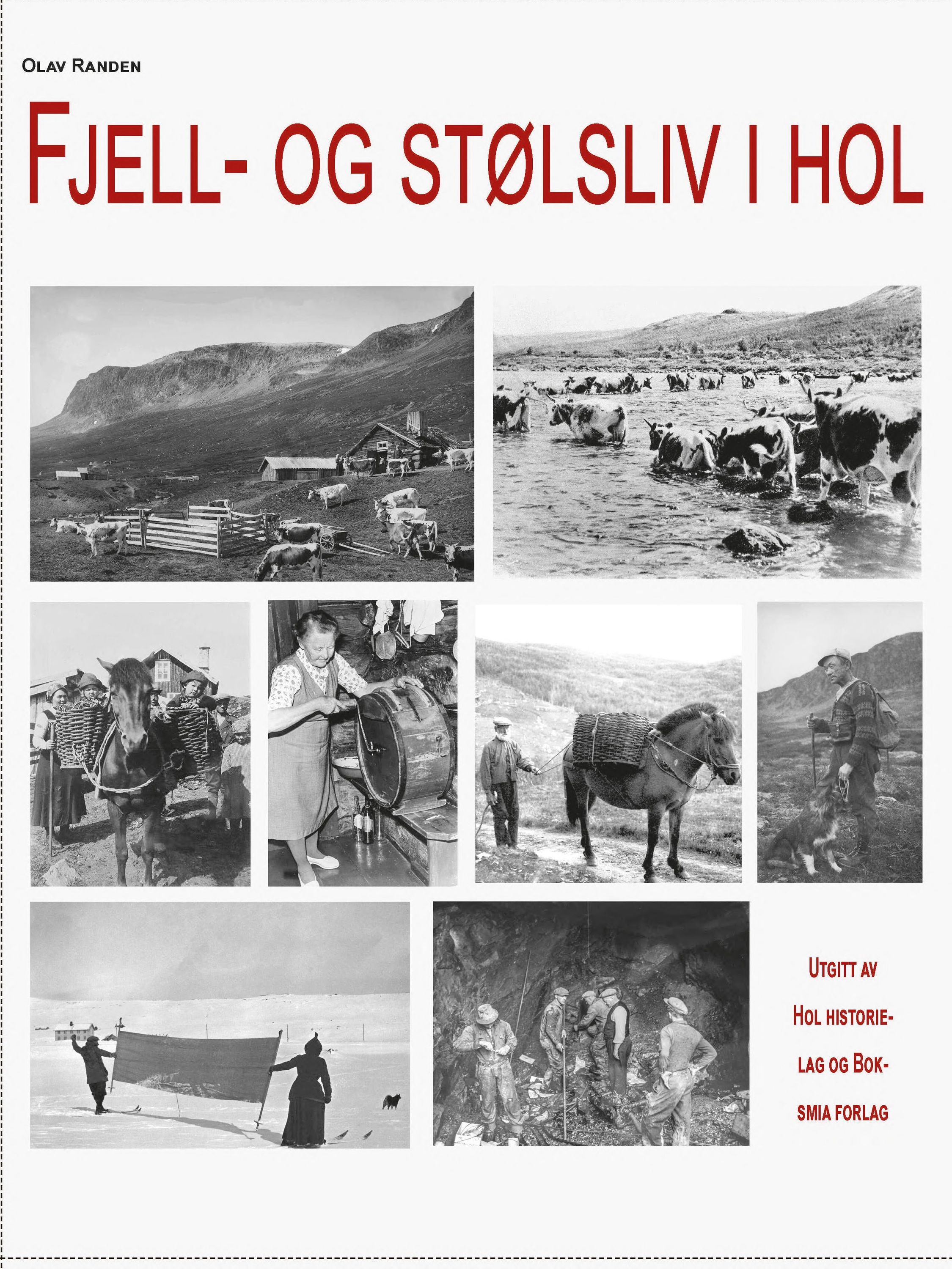 Fjell- og stølsliv i Hol