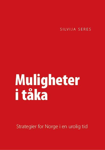 Muligheter i tåka : hvordan vi finner retning i en verden som endrer seg, og hvorfor vi må finne den selv