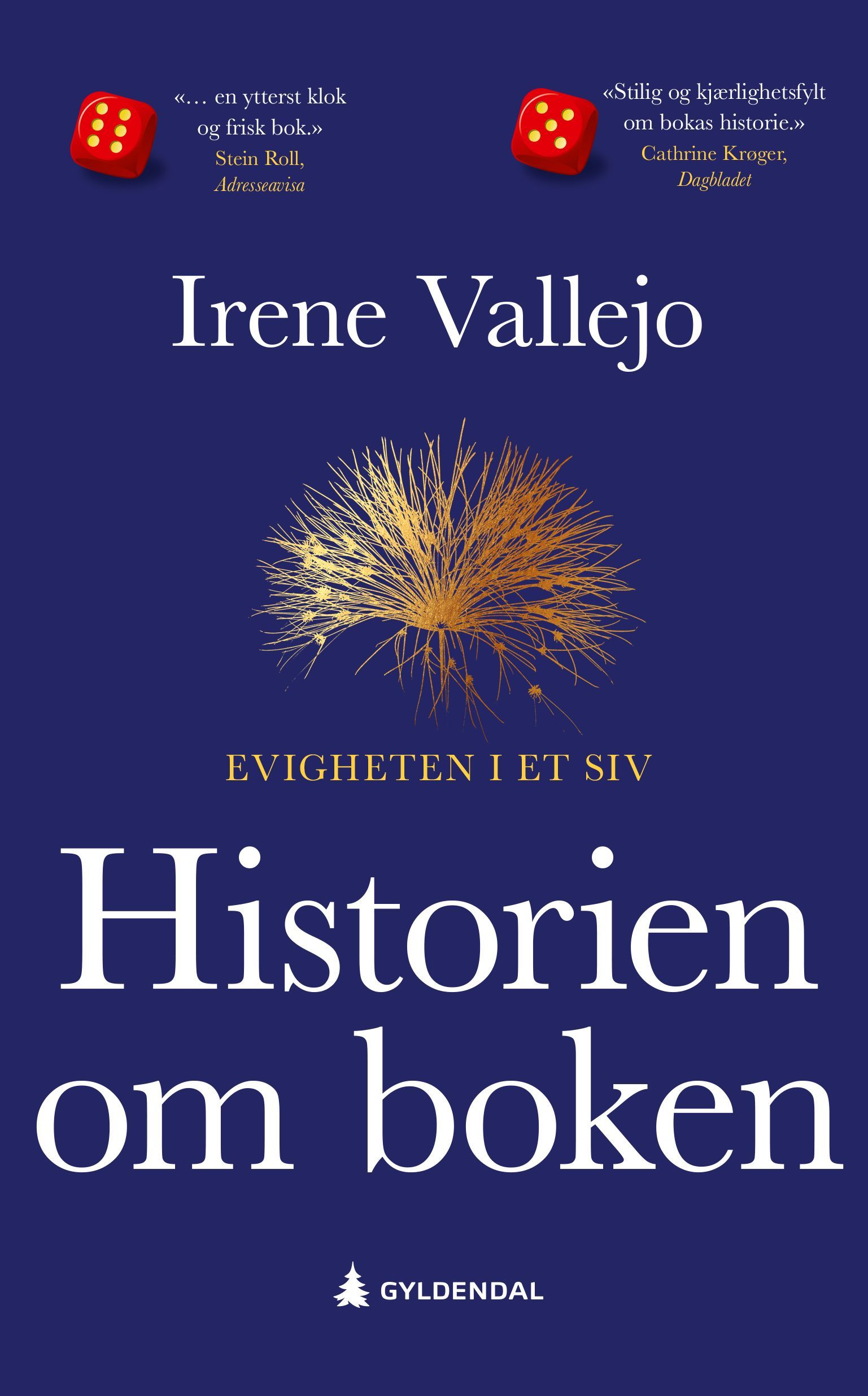 Historien om boken : evigheten i et siv