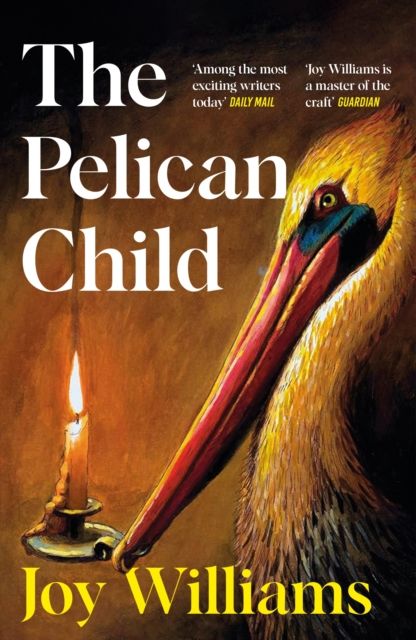 Forsidebilde av The Pelican Child