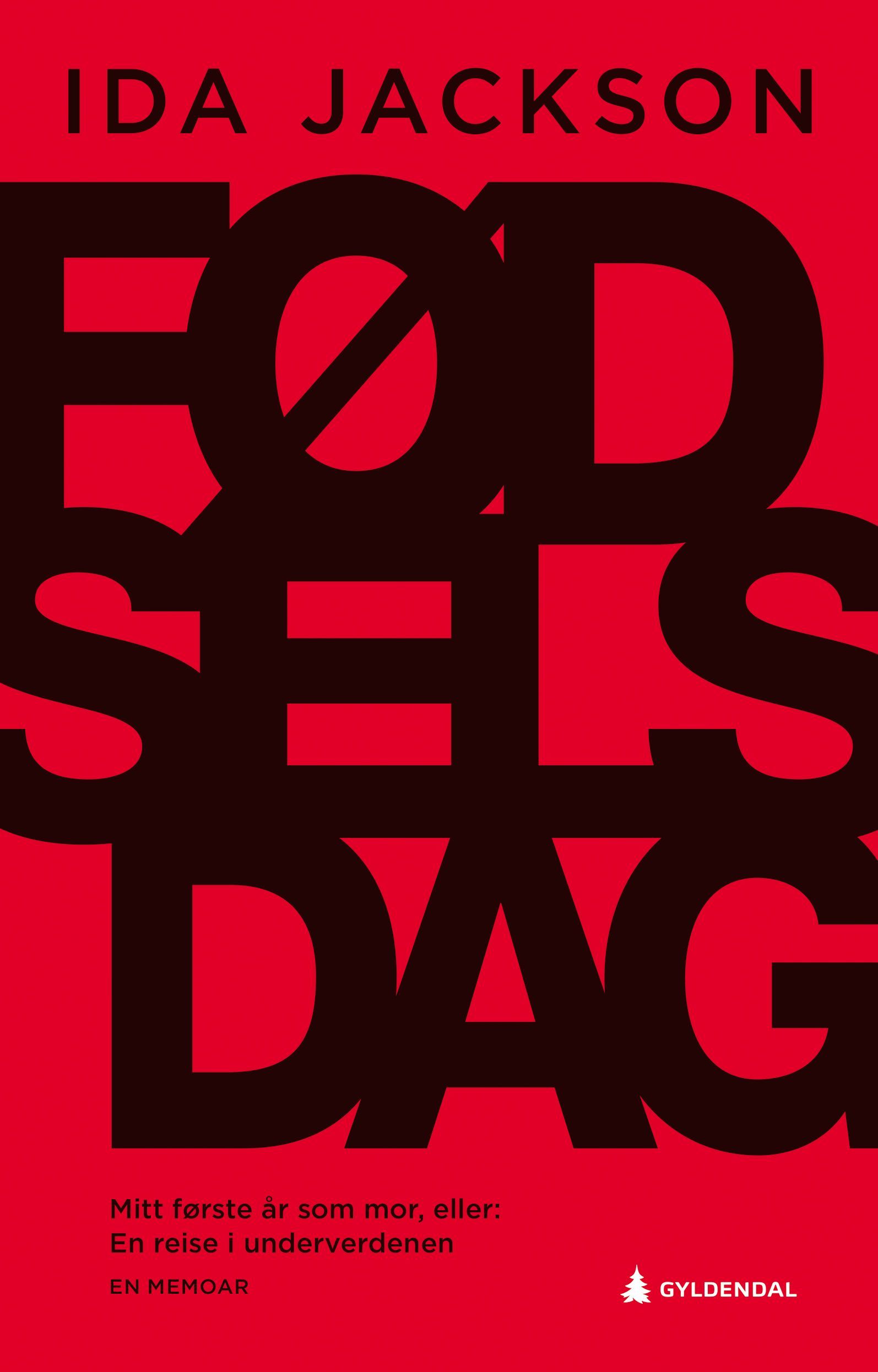 Fødselsdag : mitt første år som mor, eller, En reise i underverdenen