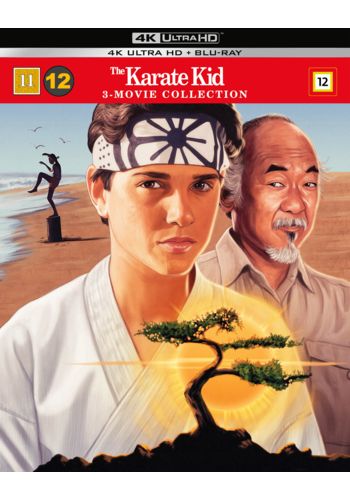 The karate kid : 3-movie collection