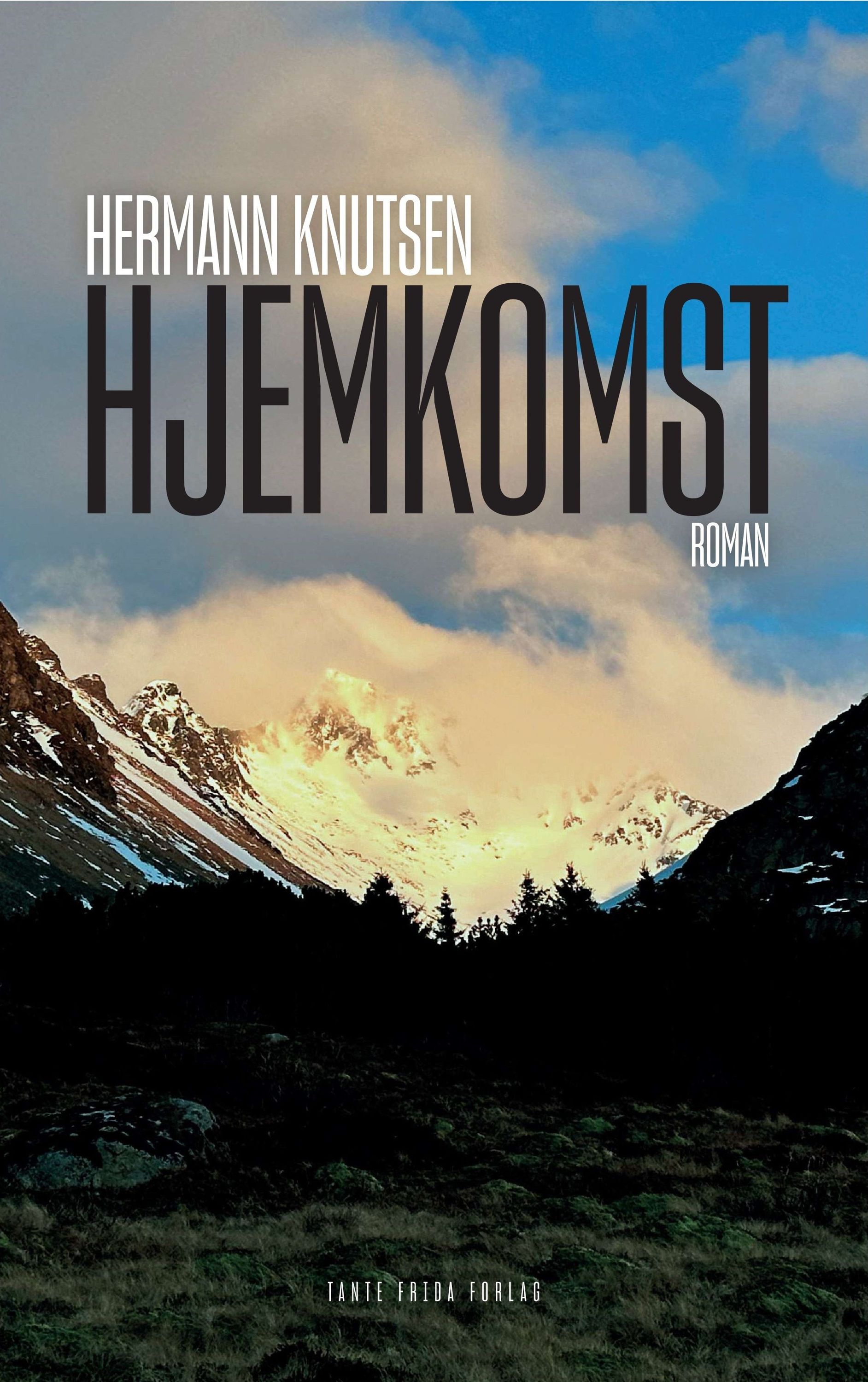 Hjemkomst : roman