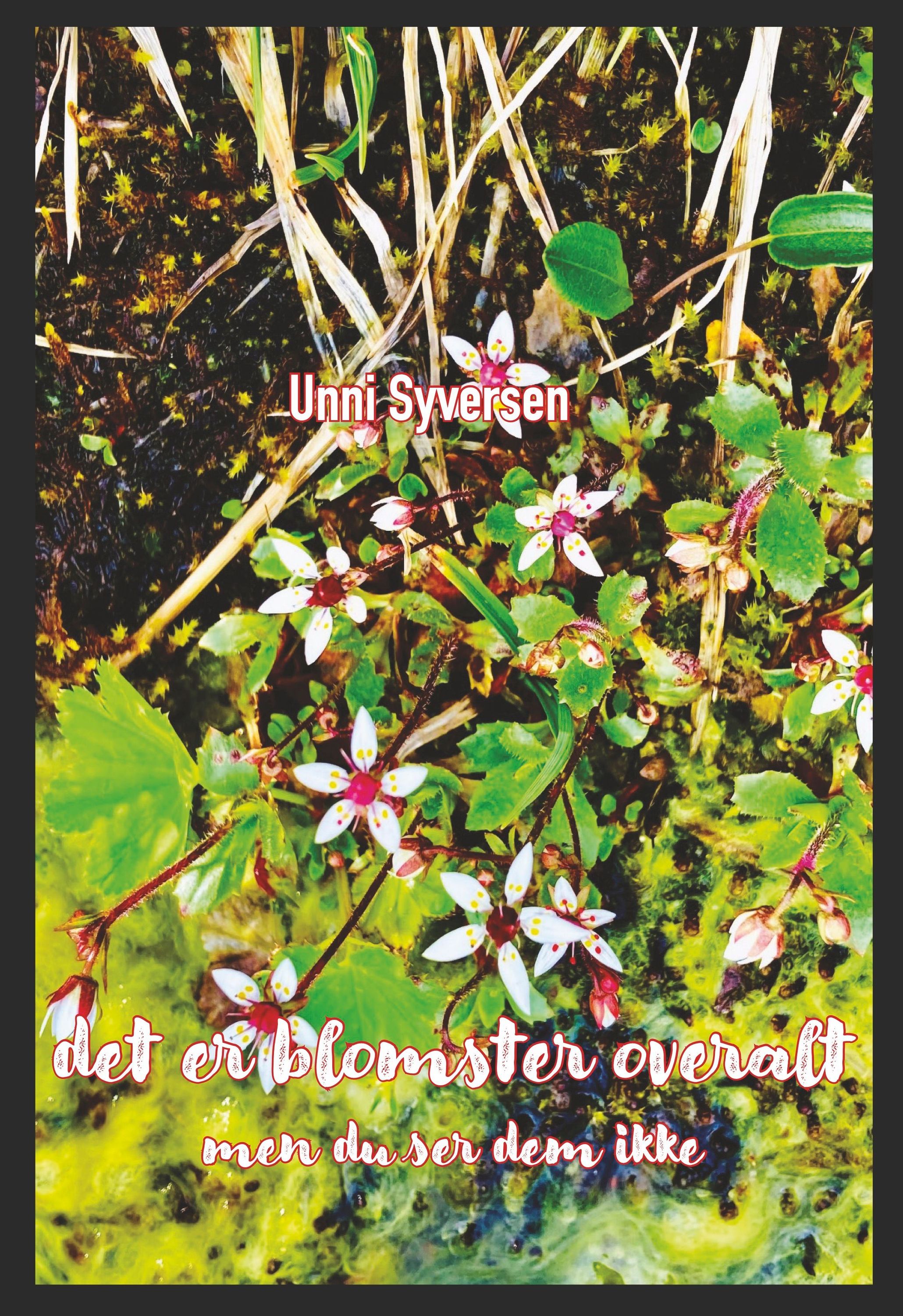 Forsidebilde av Det er blomster overalt : men du ser dem ikke