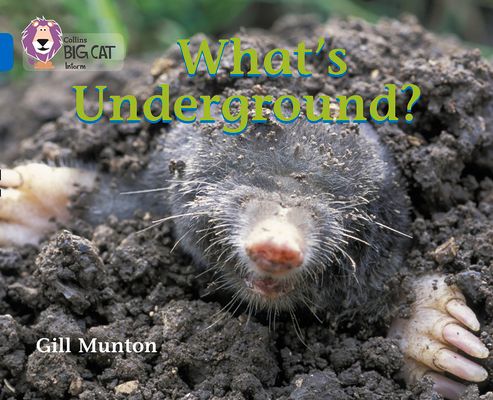 What’s Underground : Band 04/Blue