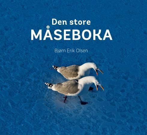 Den store måseboka