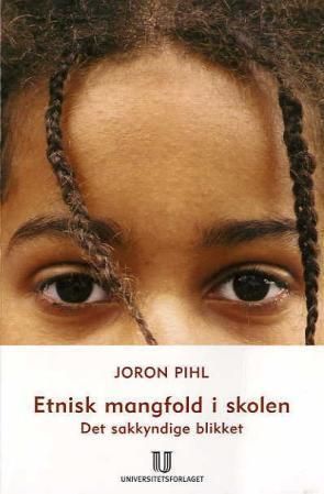 Etnisk mangfold i skolen : det sakkyndige blikket