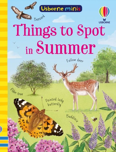 Things to Spot in Summer
