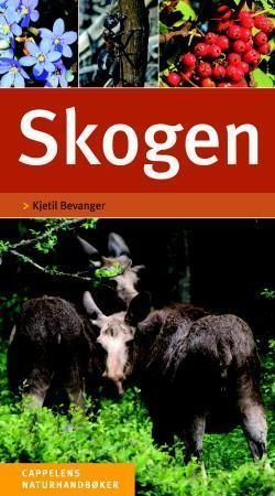 Skogen : enkel og sikker artsbestemmelse