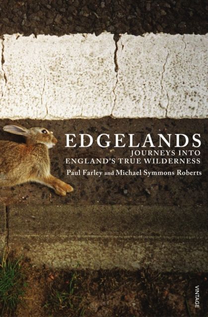 Edgelands : journeys into England's true wildnerness